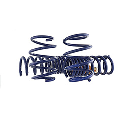 2024-2026  MUSTANG 5.0L TRACK LOWERING SPRING KIT