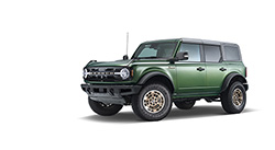 2025 BRONCO SINISTER BRONZE PACKAGE- HIGH SERIES