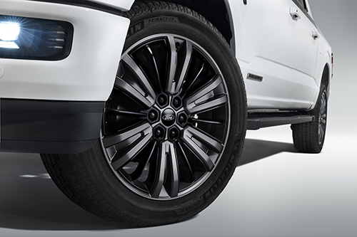 F-150 REGIONAL PACKAGE - GREAT LAKES WITH 22" WHEEL