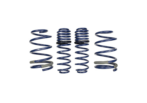 2005-2014 MUSTANG GT TRACK LOWERING SPRINGS